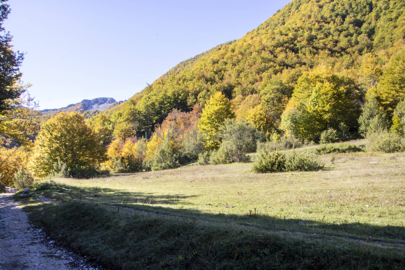 autumnal landscape of val fondillo  in Abruzzo national park, Italy