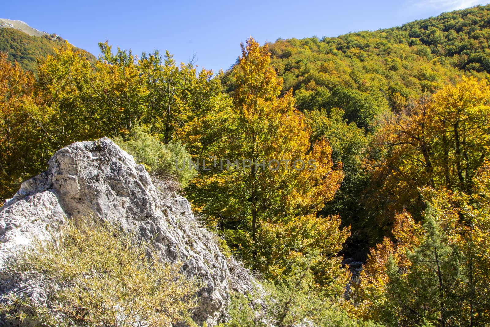 autumnal landscape of val fondillo  in Abruzzo national park, Italy