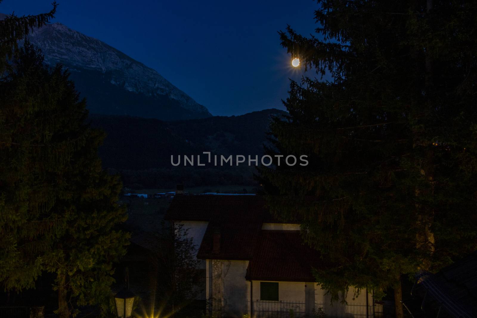a house and a huge pine tree under the moonlight at Pescasseroli, Italy 