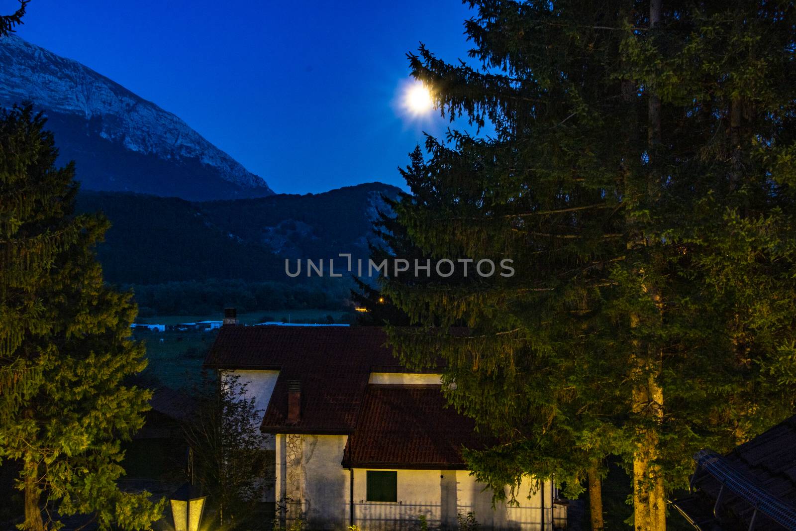 a house and a huge pine tree under the moonlight at Pescasseroli, Italy 