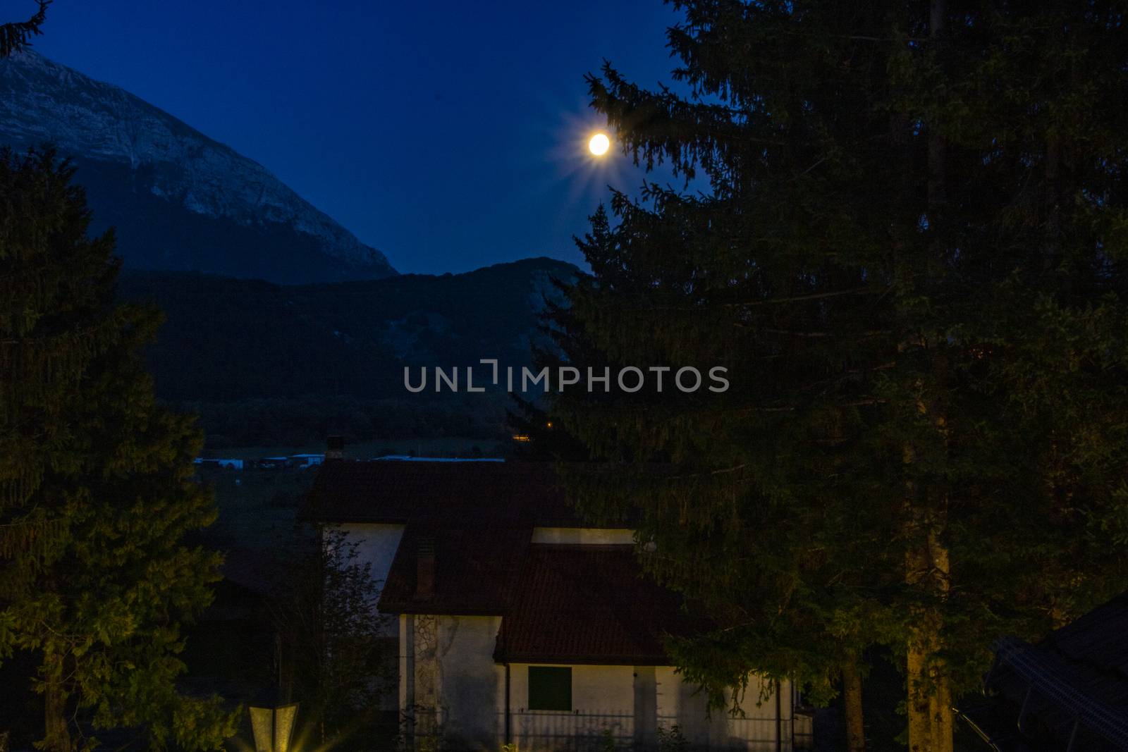 a house and a huge pine tree under the moonlight at Pescasseroli, Italy 