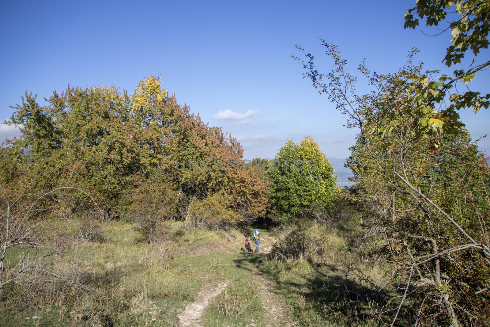 sunny valley in Abruzzo national park in autumn, Italy