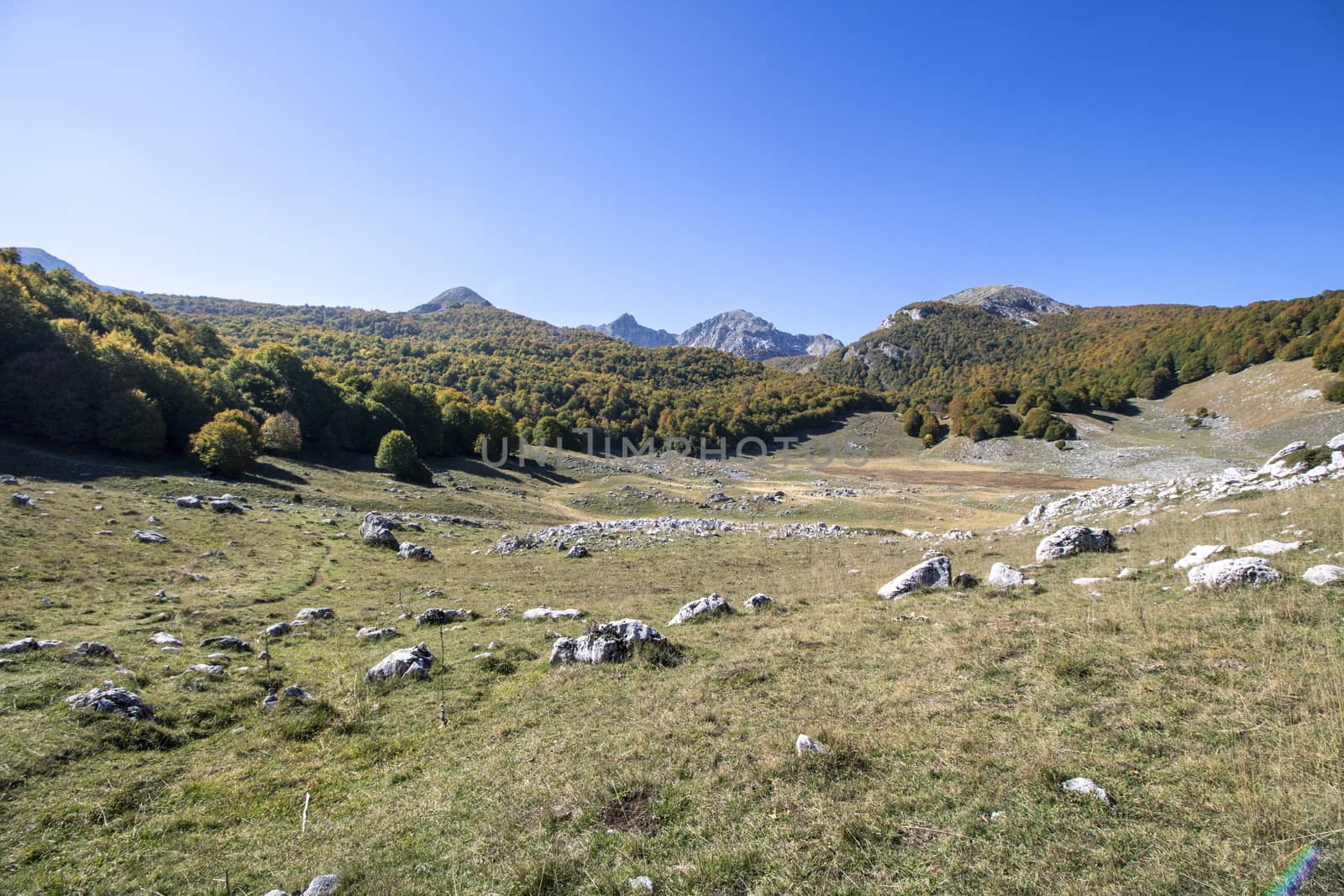 sunny valley in Abruzzo national park in autumn, Italy 