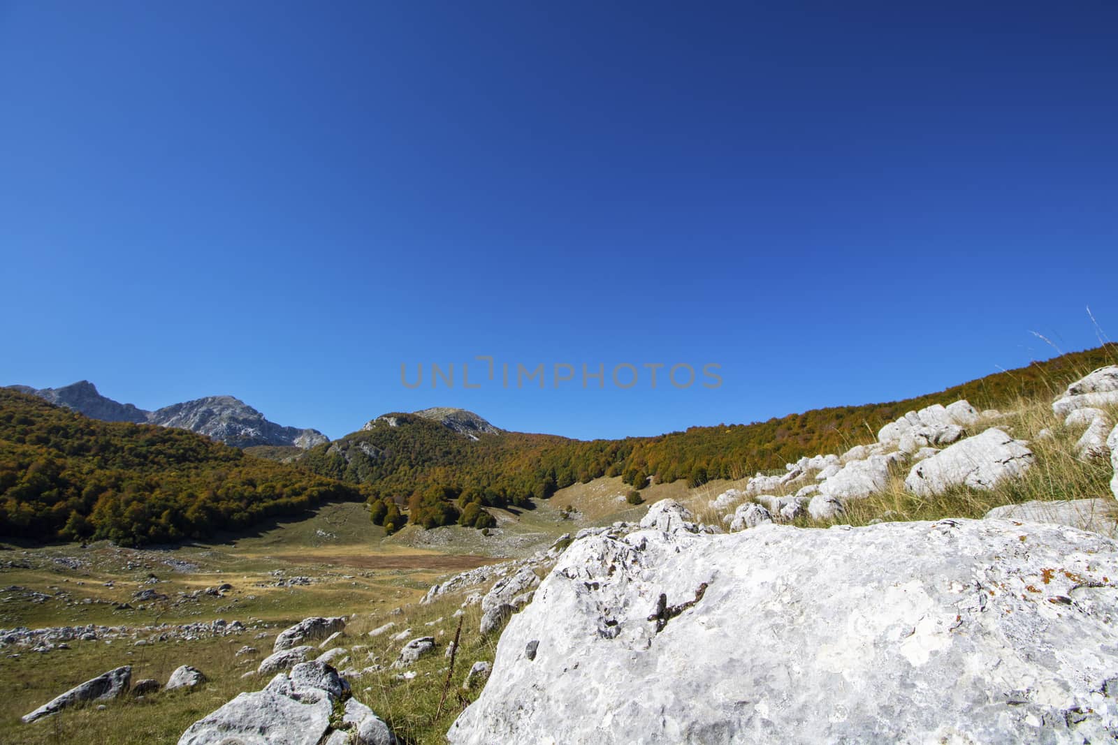 sunny valley in Abruzzo national park in autumn, Italy 