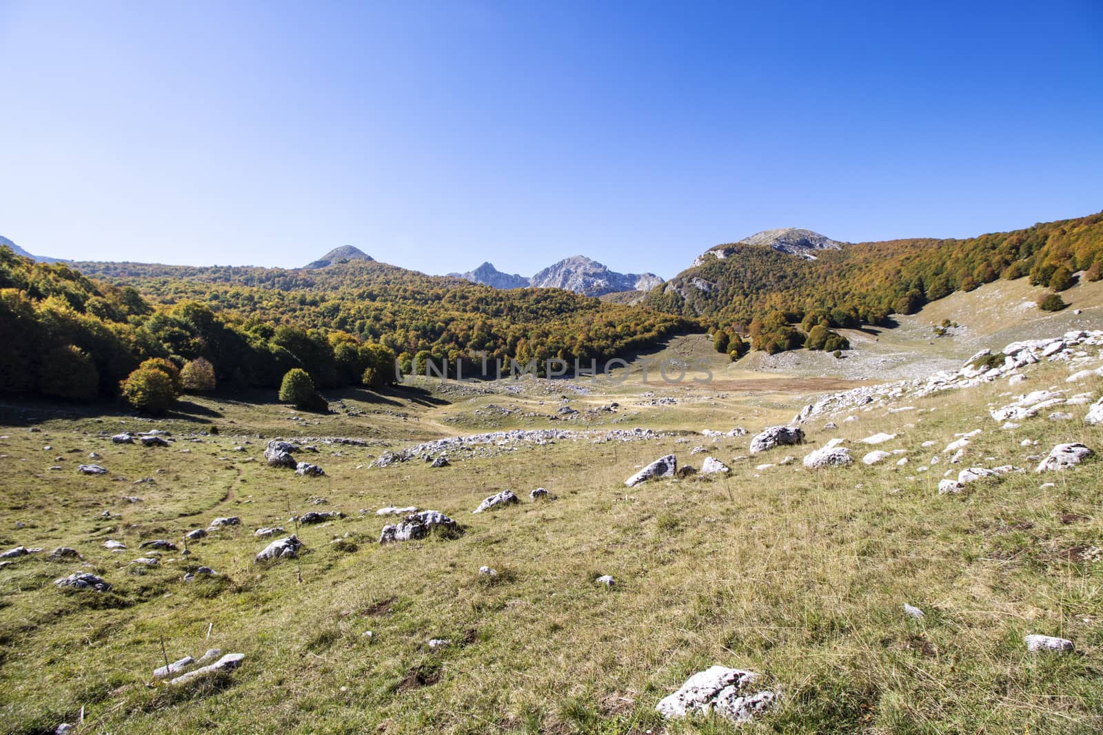 sunny valley in Abruzzo national park in autumn, Italy 