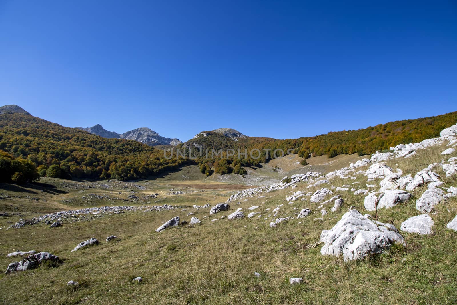 sunny valley in Abruzzo national park in autumn, Italy 