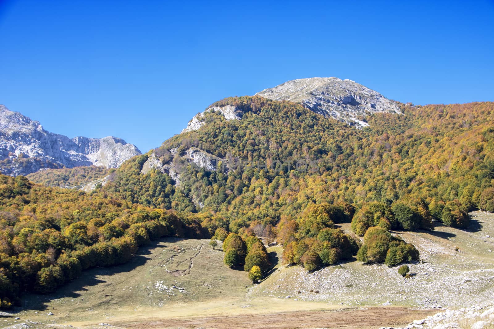 sunny valley in Abruzzo national park in autumn, Italy 