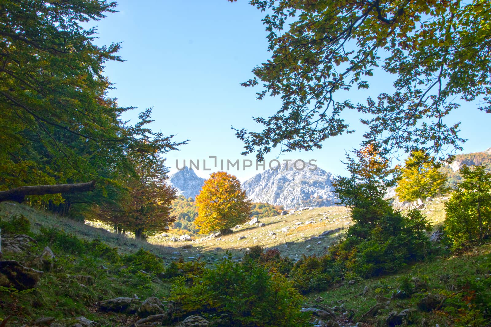 sunny valley in Abruzzo national park in autumn, Italy 