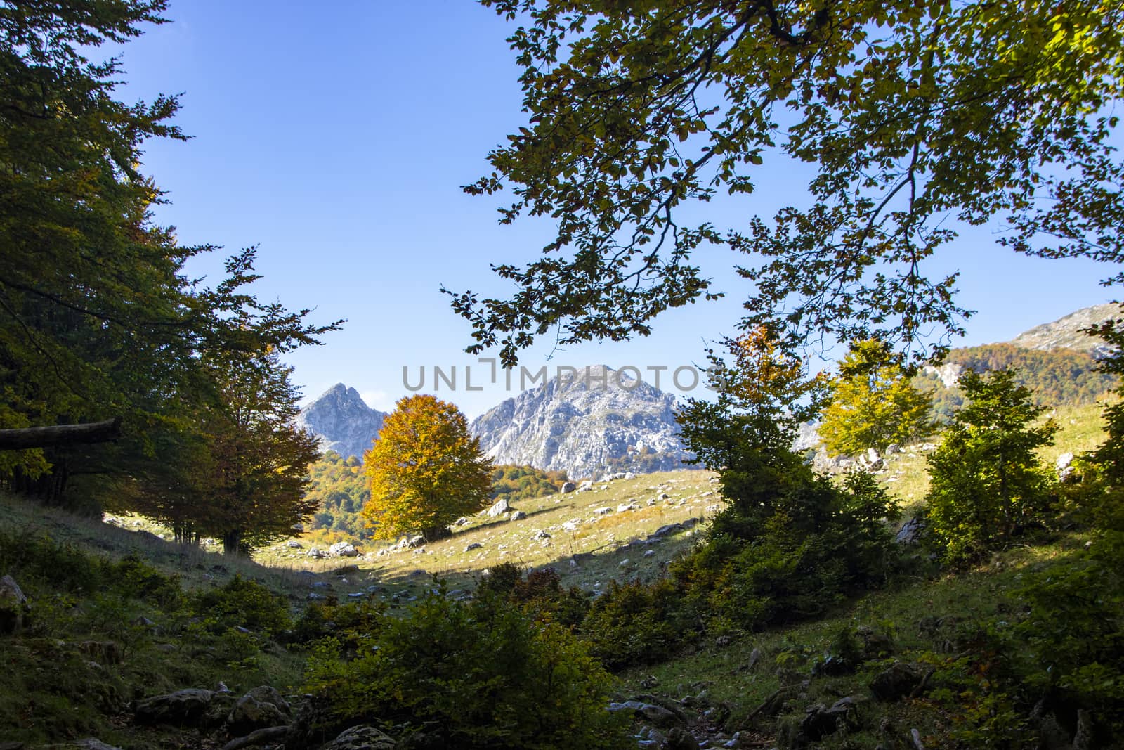 sunny valley in Abruzzo national park in autumn, Italy 