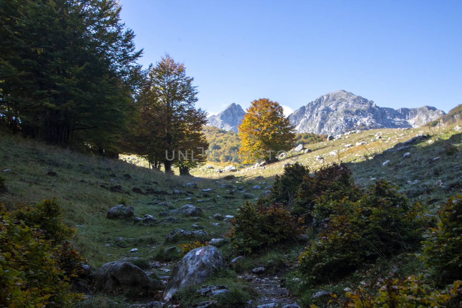 sunny valley in Abruzzo national park in autumn, Italy 