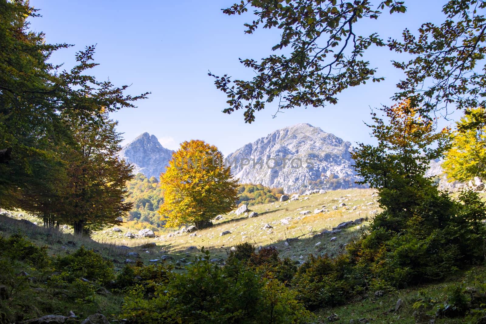 sunny valley in Abruzzo national park in autumn, Italy 