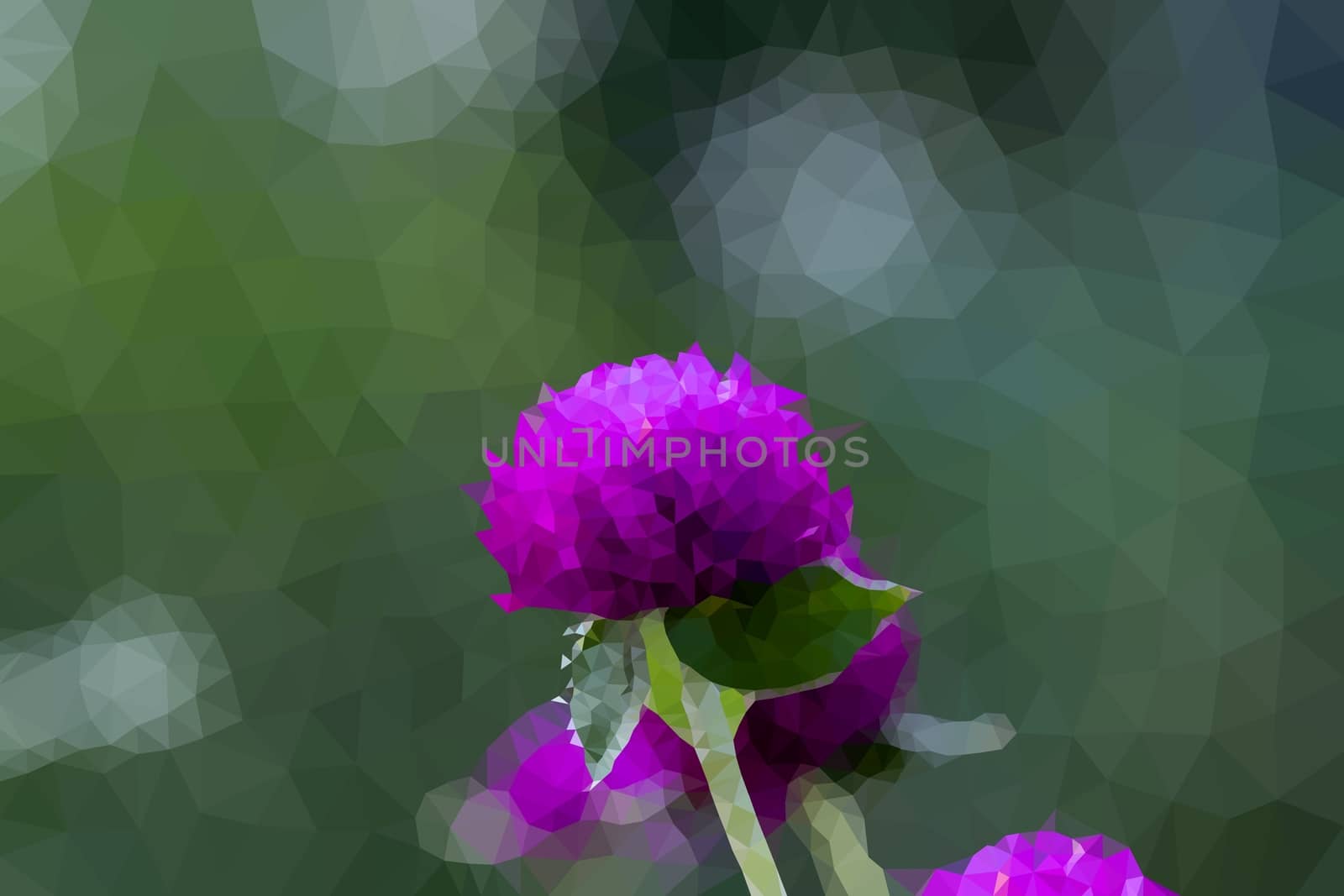 Abstract Triangles flowers of Purple Grobe Amaranth or Bachelor's Button by peerapixs