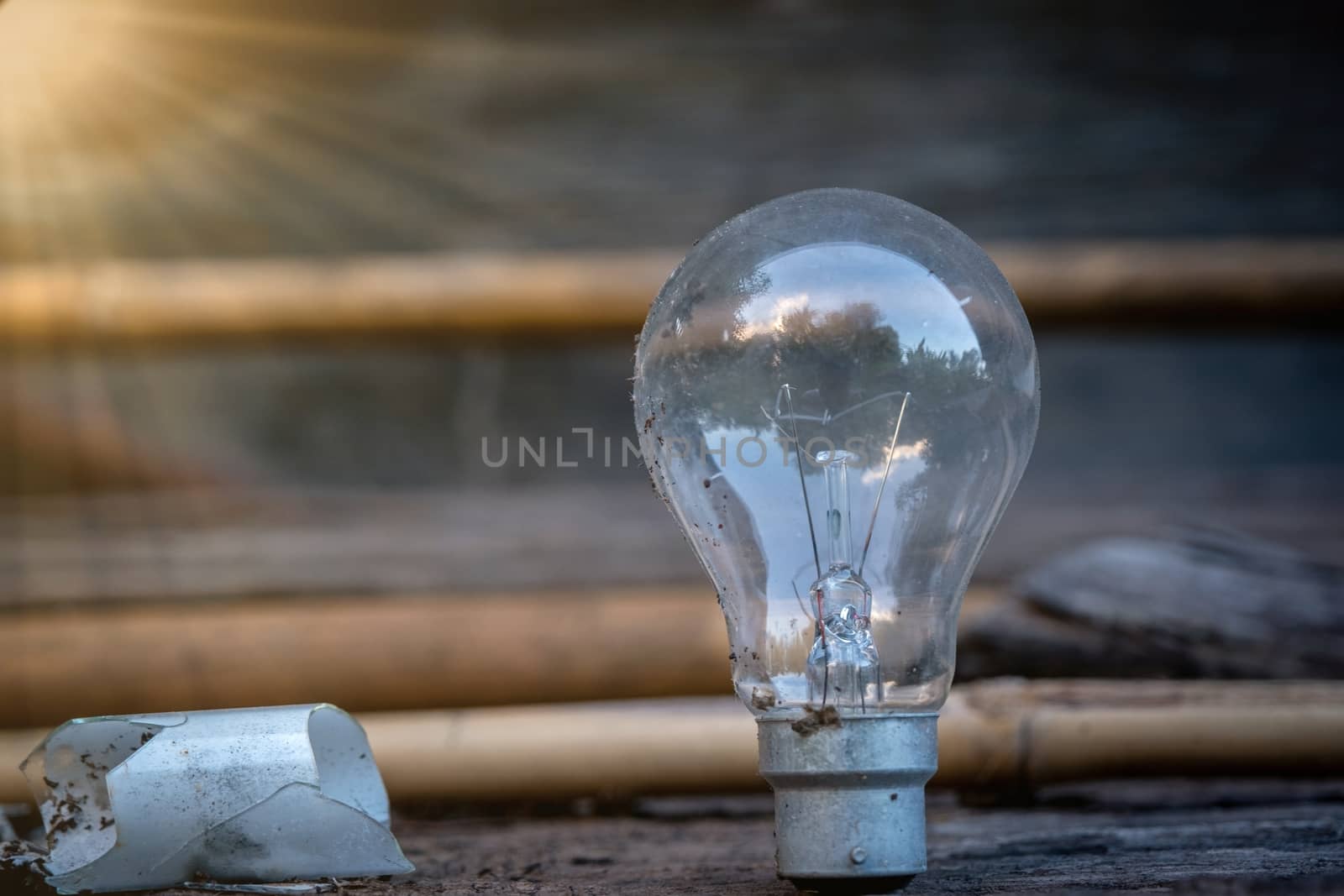 Light bulb standing on wood with sun light - Concept of saving energy and have a big idea. by peerapixs