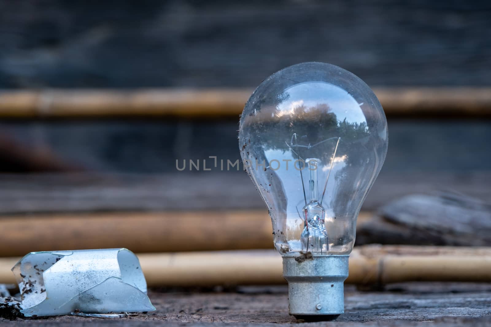 Light bulb standing on wood - Concept of saving energy and have a big idea. by peerapixs