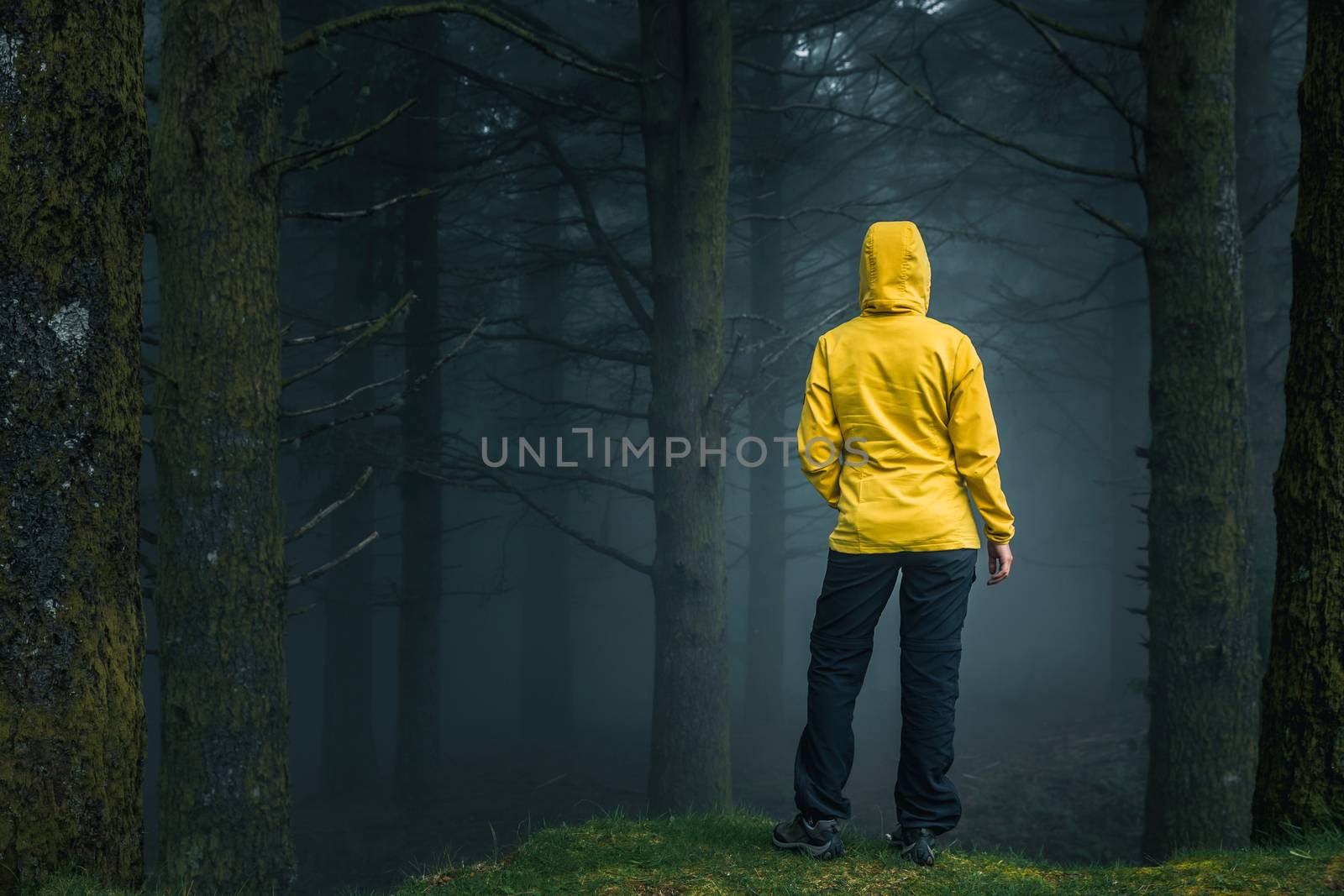 Female traveler enjoying the forest on a foggy morning