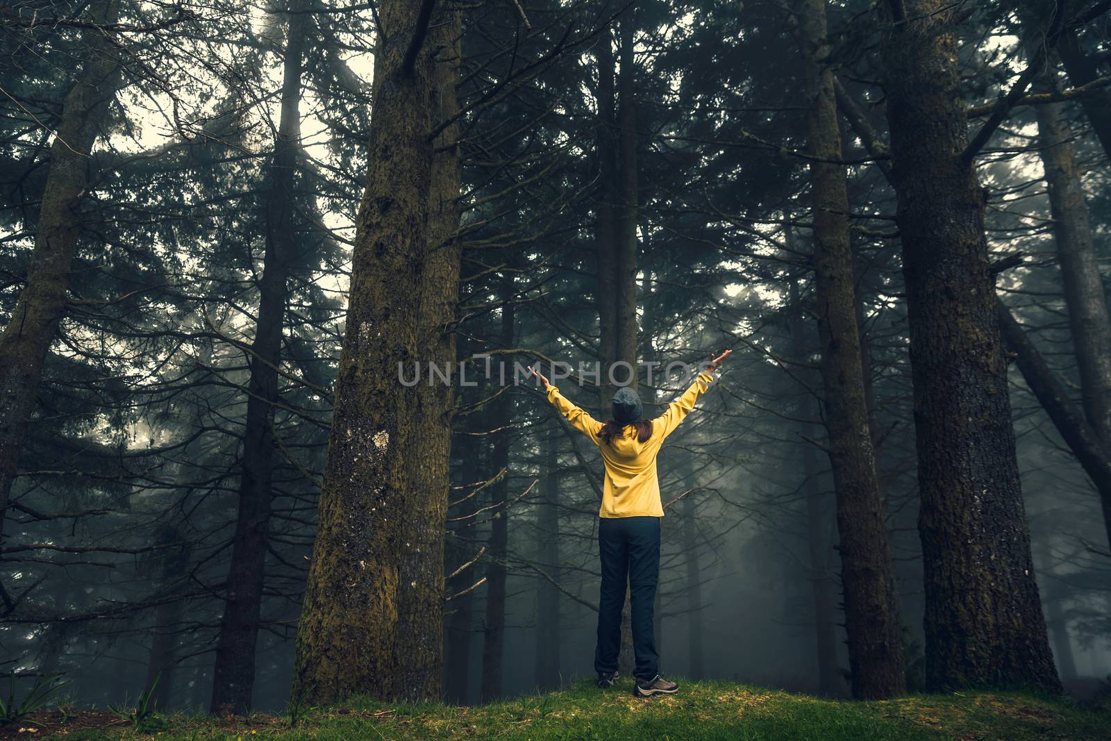 Female traveler with arms raised enjoying the forest on a foggy morning