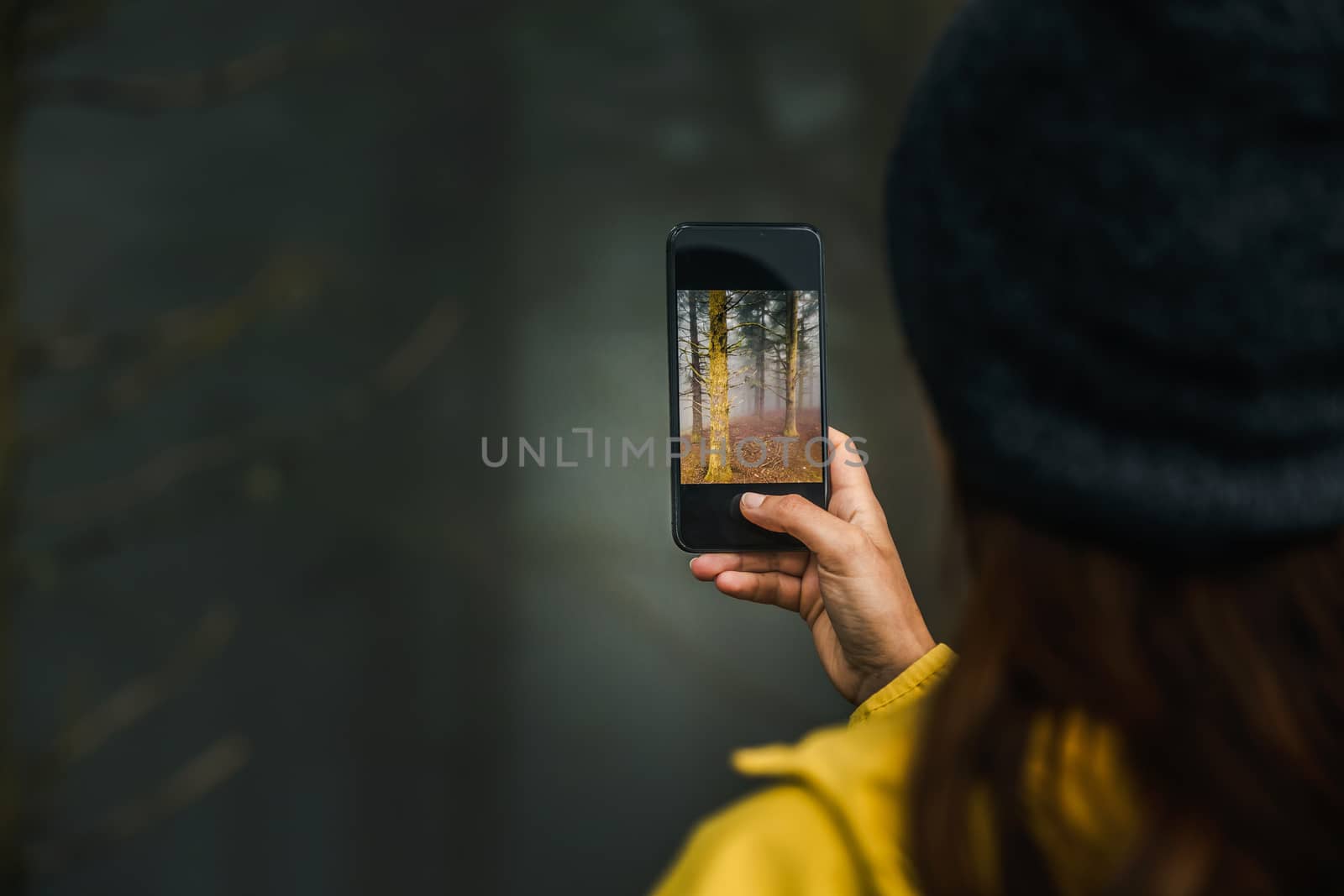 Female traveler taking a picture to a forest with her cellphone