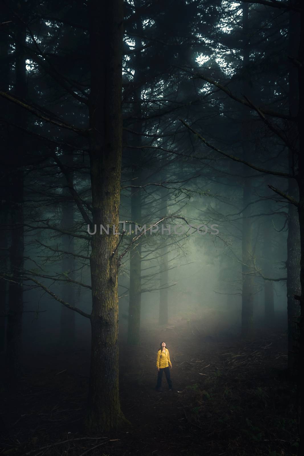 Female traveler walking in the middle of a forest on a foggy morning