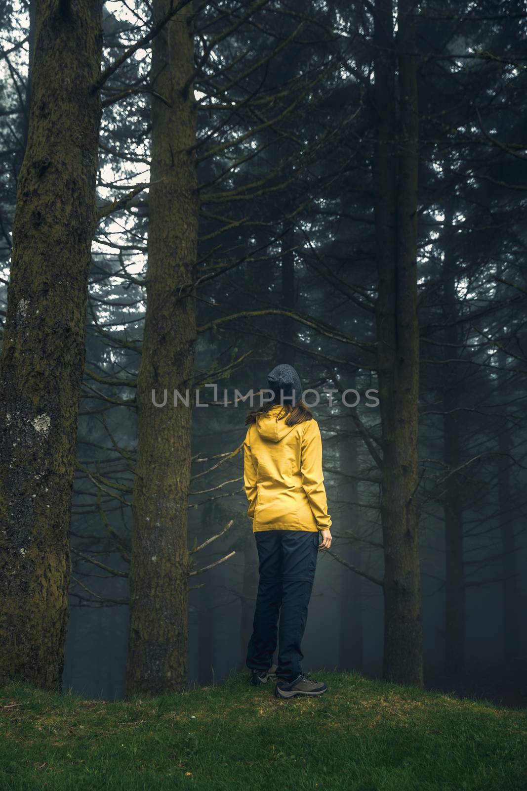 Female traveler enjoying the forest on a foggy morning