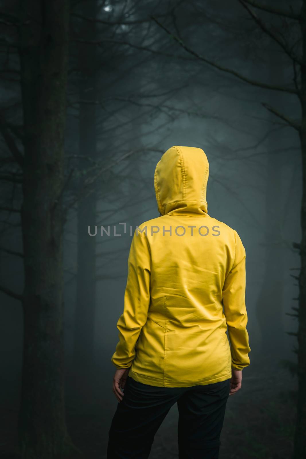 Female traveler enjoying the forest on a foggy morning