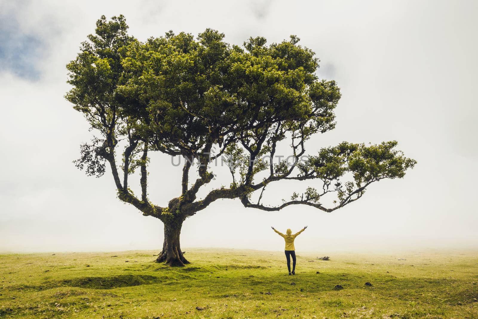 Traveller woman feeling the power of the nature at an ancient forest