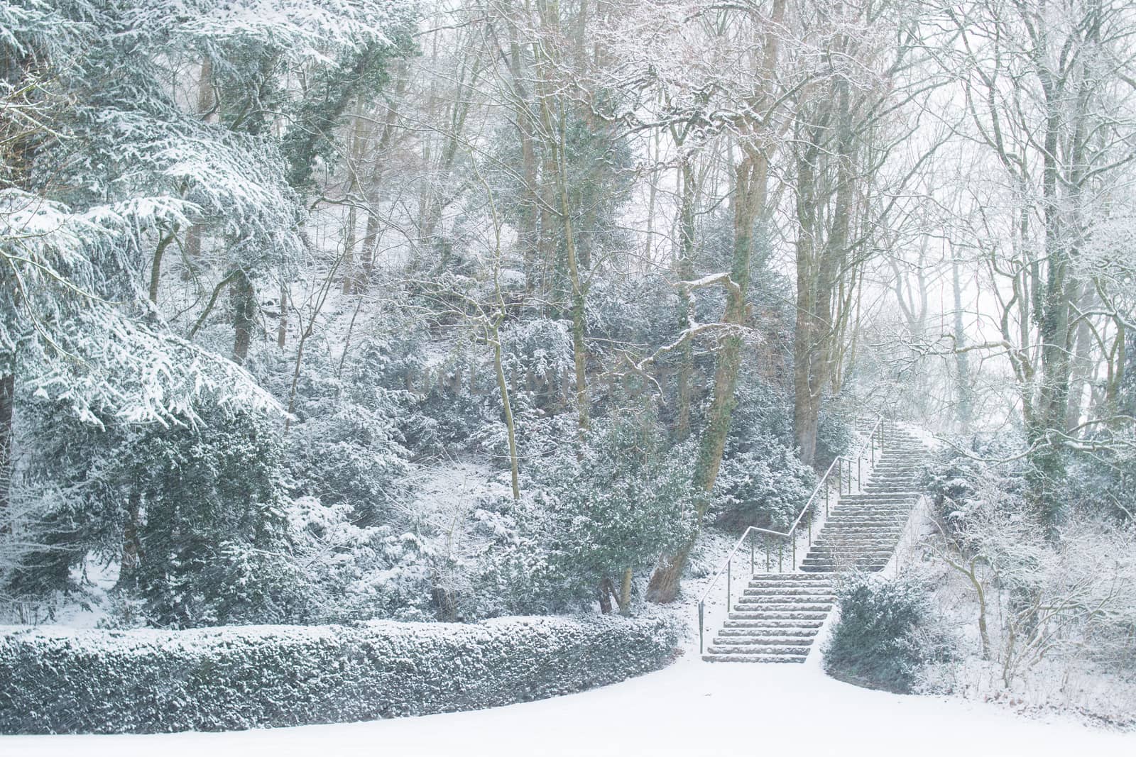 AACHEN, GERMANY - Snowy landscape at the hill Lousberg