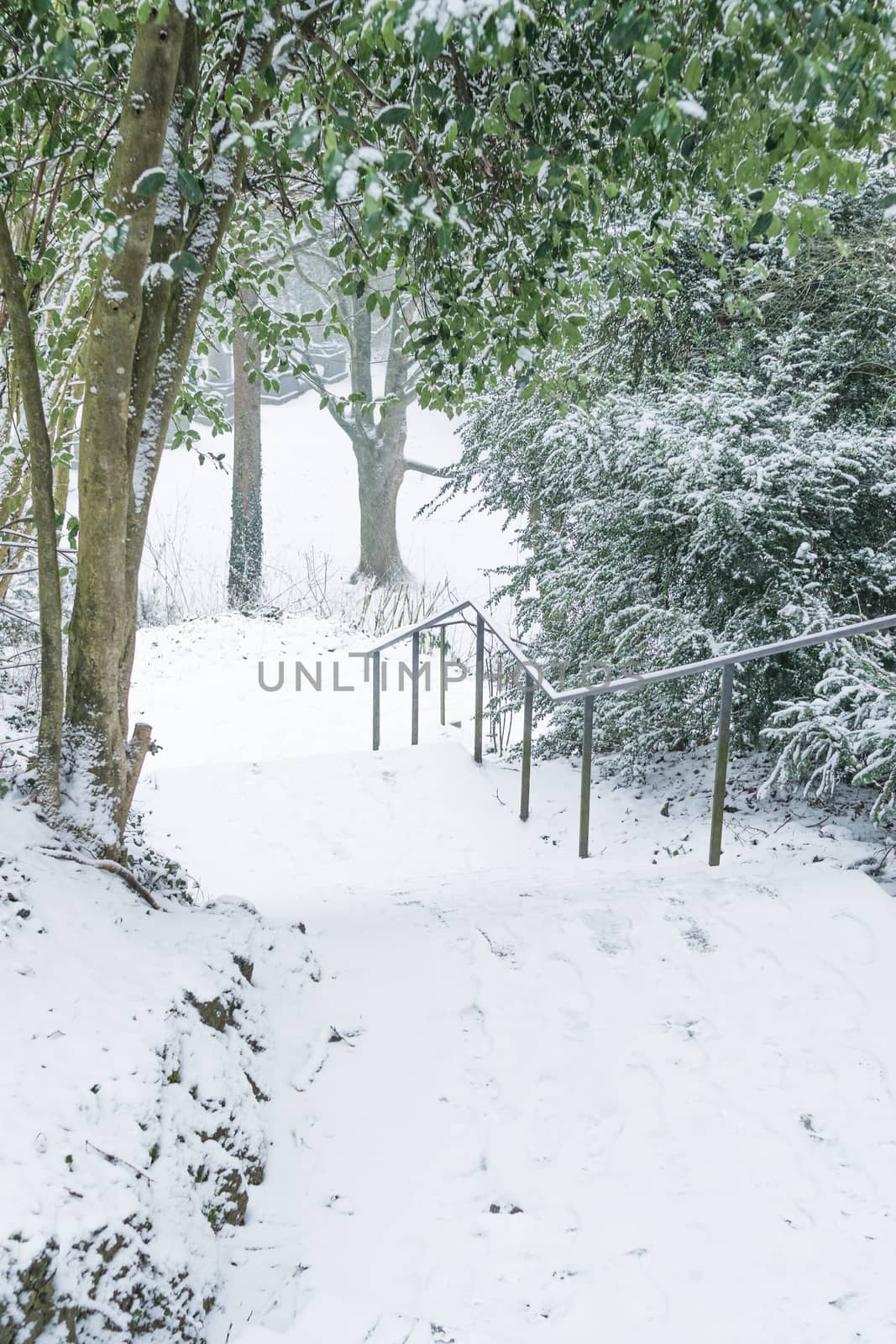 Snowy stairs at Lousberg in Aachen, Germany by mbsnapshot