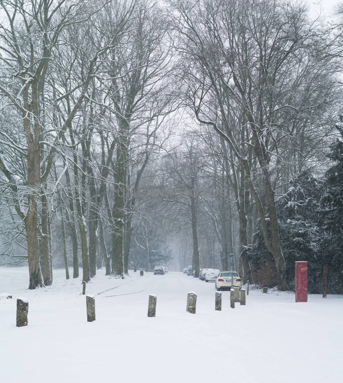 Snowy road at Lousberg in Aachen, Germany by mbsnapshot