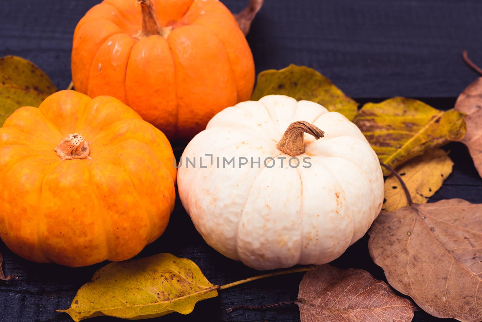 Fall Thanksgiving and Halloween pumpkins, dry leaves by Sorapop