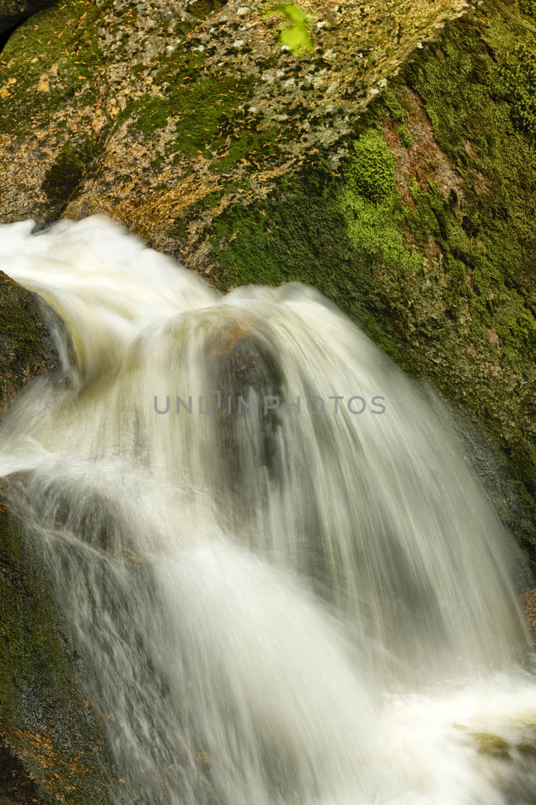 Beautiful view of Potoka Falls in super green forest surroundings, Czech Republic