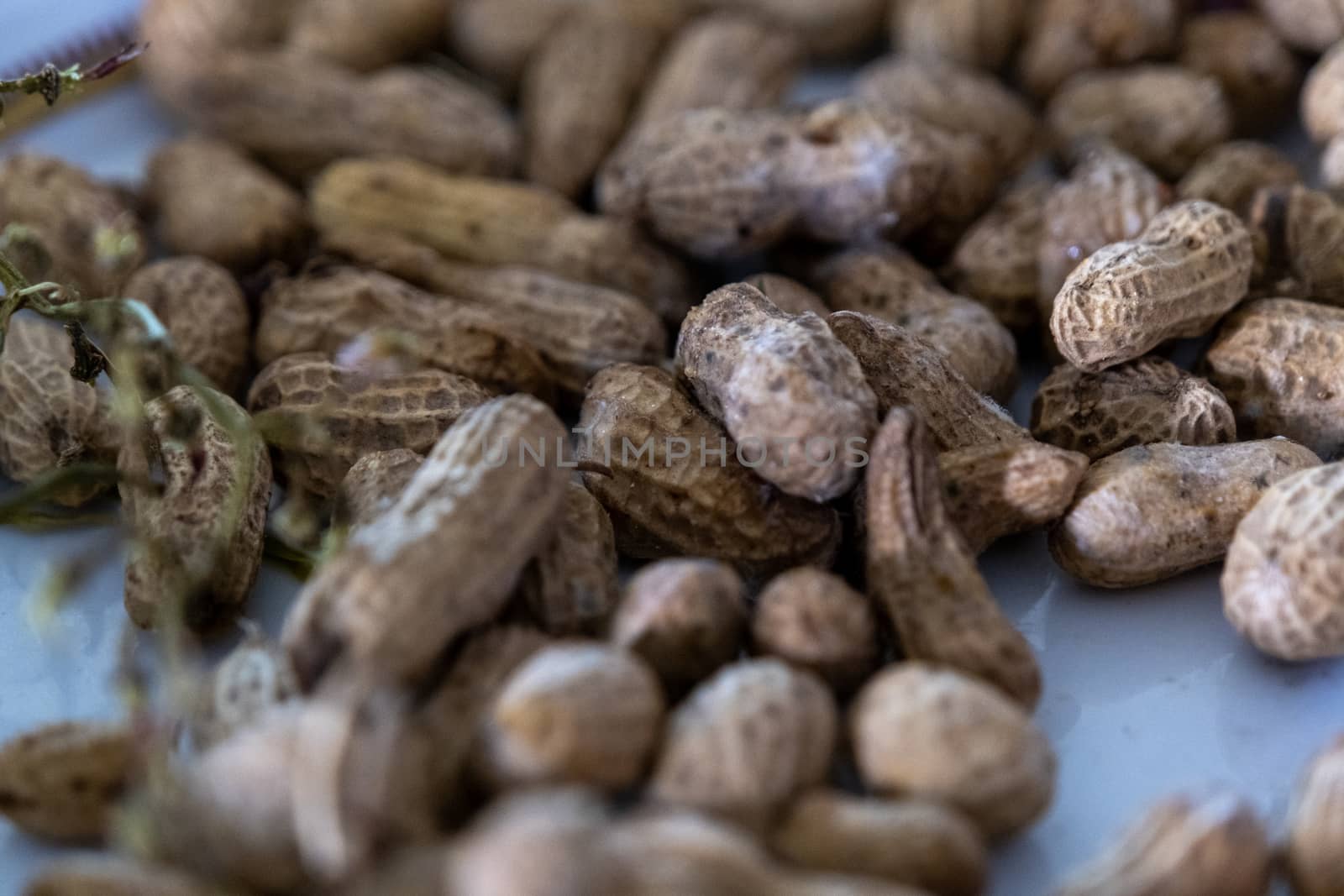 Close up of boiled peanuts with blurred background and selected focus by peerapixs