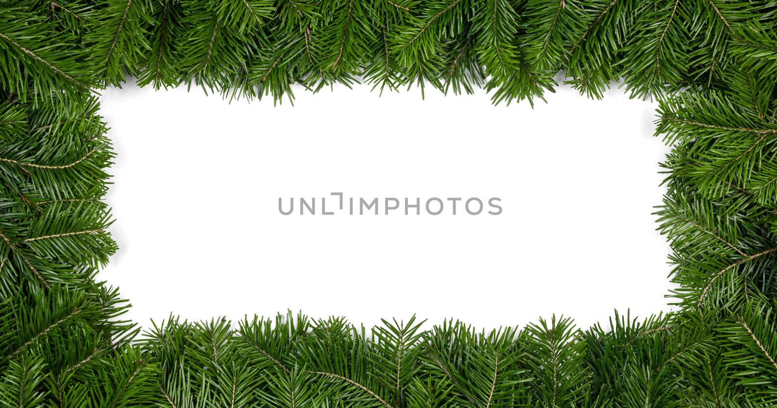 Natural fir Christmas tree border frame isolated on white , copy space for text