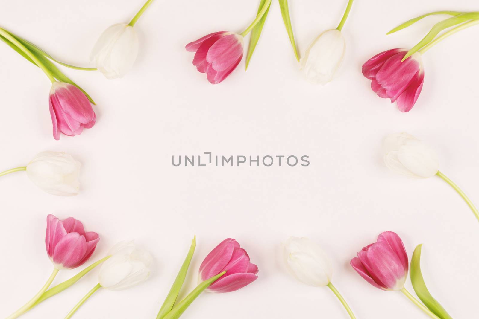 Frame made of colourful tulips Valentines day background