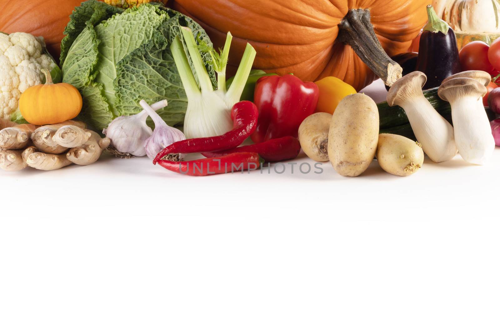 Harvest of many vegetables isolated on white background border frame with copy space for text