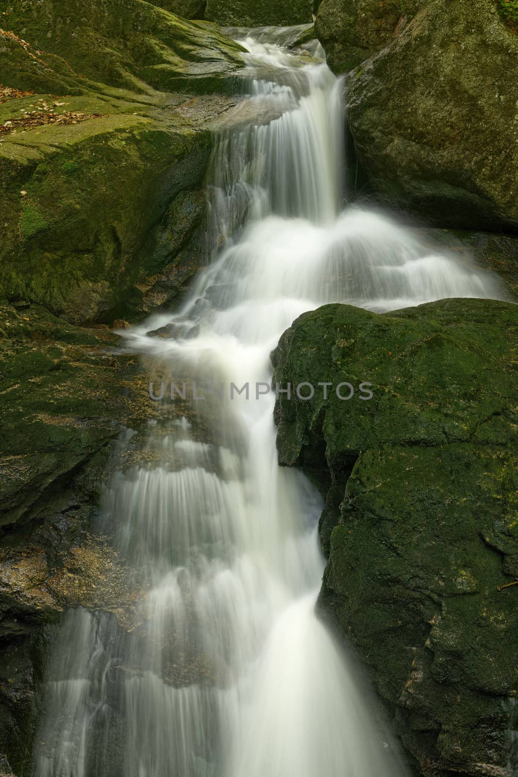 Beautiful view of Maly Falls in super green forest surroundings, Czech Republic