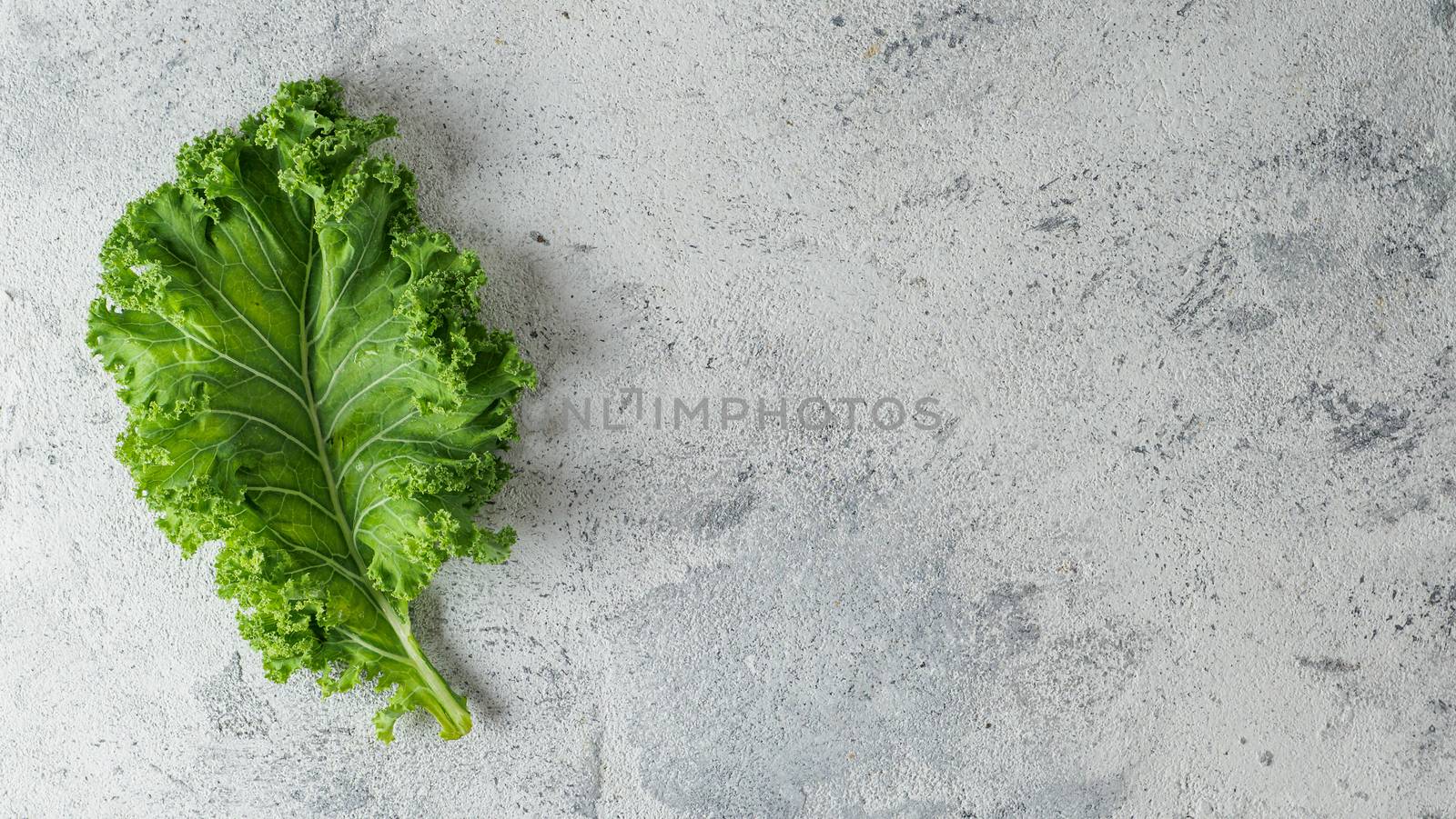 Green kale leaf on gray background, copy space, top view by fascinadora