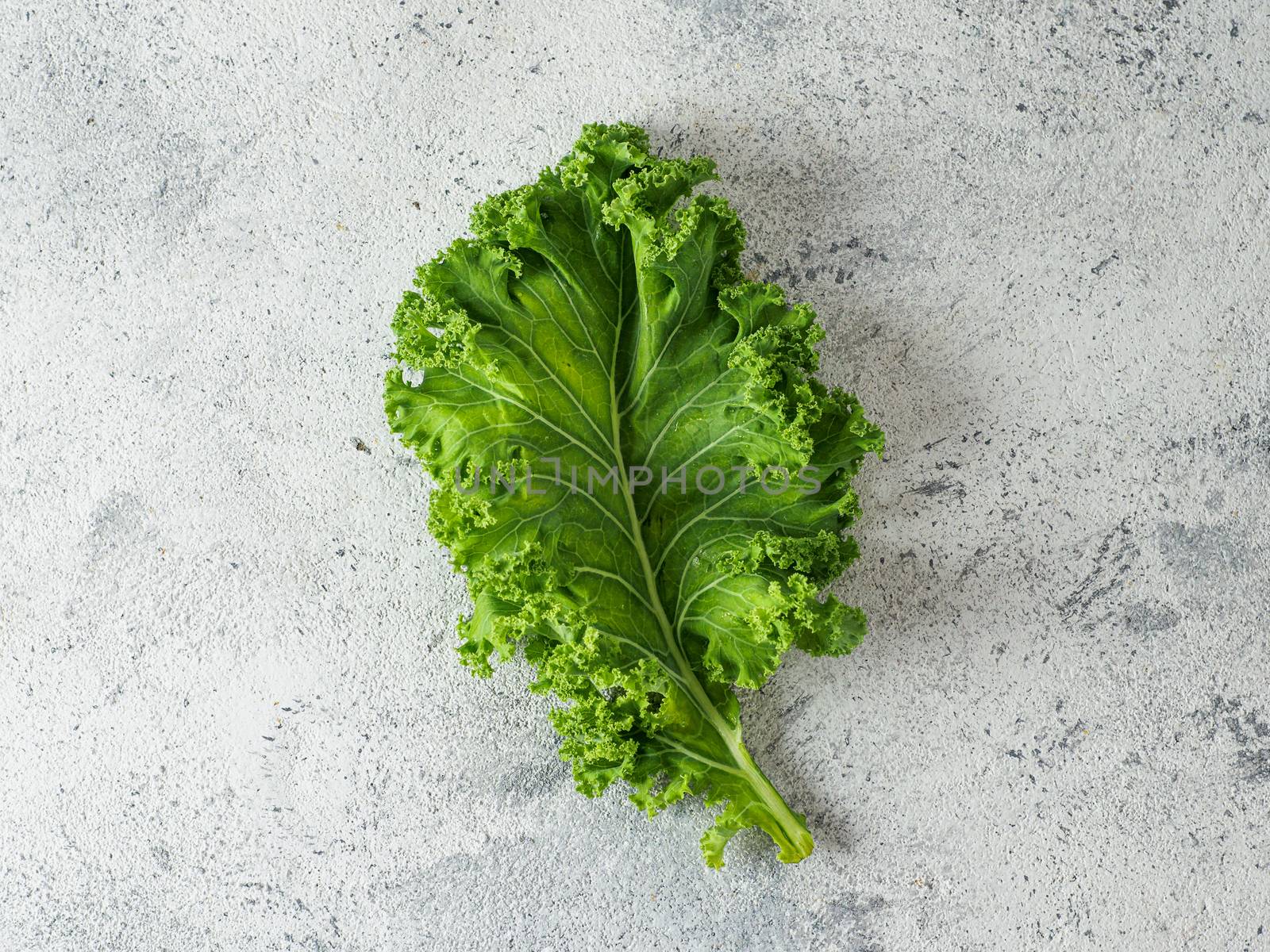 Green kale leaf on gray cement background, top view by fascinadora