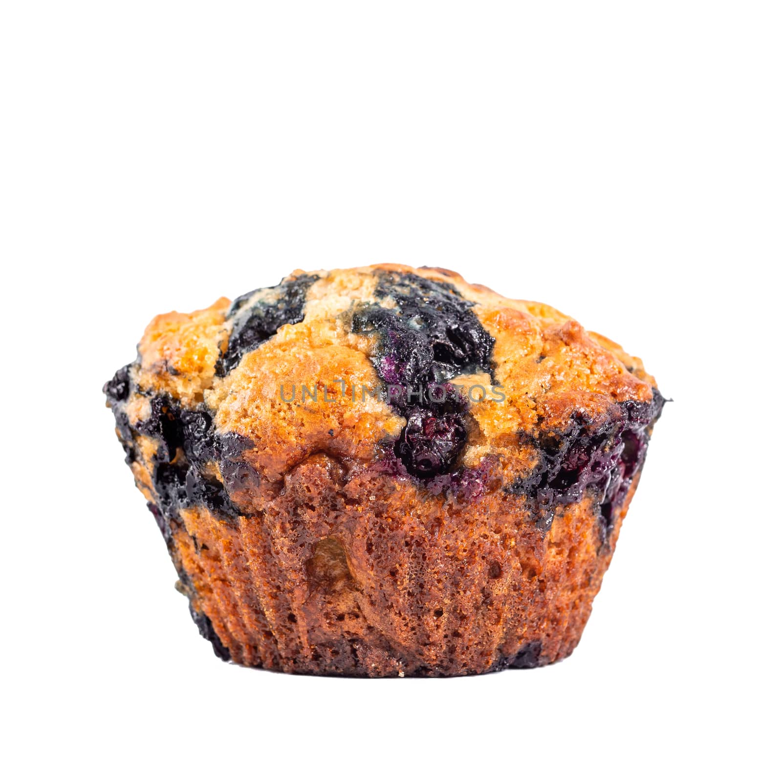 Homemade vegan blueberry muffin isolated. Vegetarian egg-free muffin with blue berries isolated on whte with clipping path.