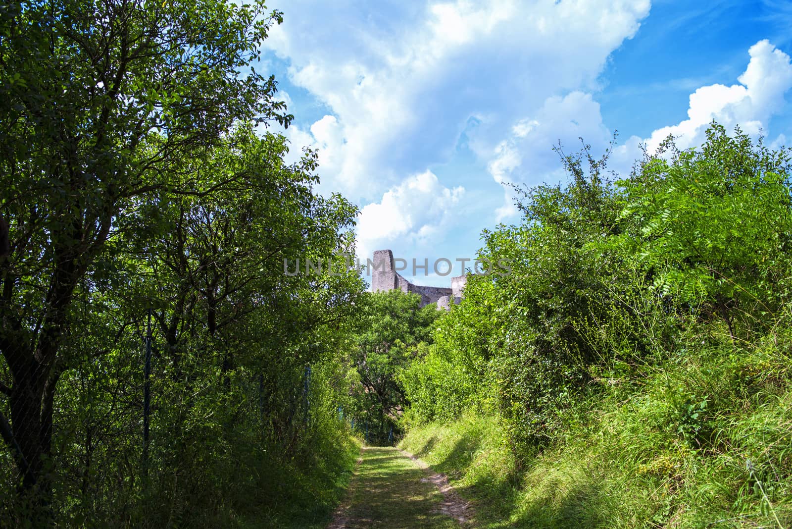 Backov Castle, village Beckov near Nove Mesto nad Vahom, Slovakia,View of the castle from the green trail