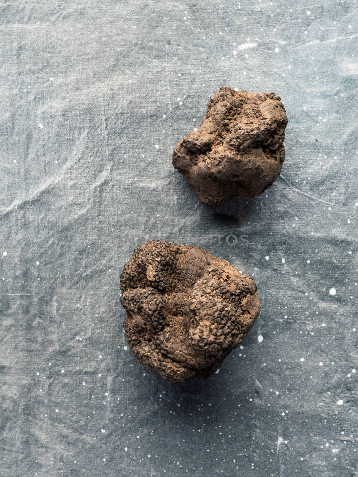 Expensive rare black truffle mushroom on gray background. Vertical. Black truffles top view with copy space for text or design.