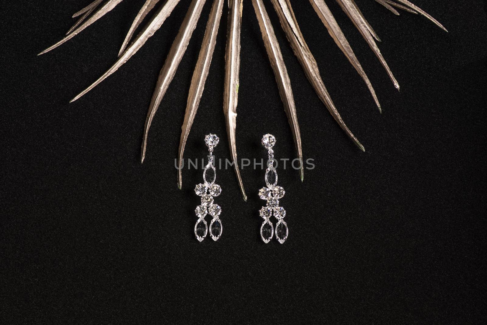 Women's jewelry. Jewelry. Jewelry on a dark background.Background for salons.