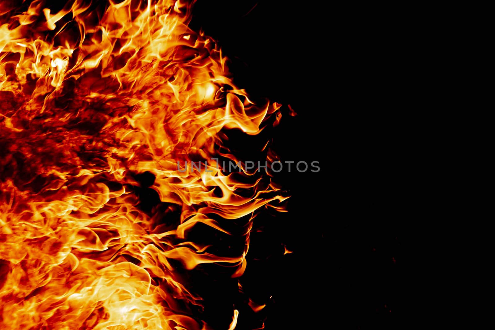 Wood fire on black background.Fire on a dark background. Background from fire. Fire close up. Background for designers.