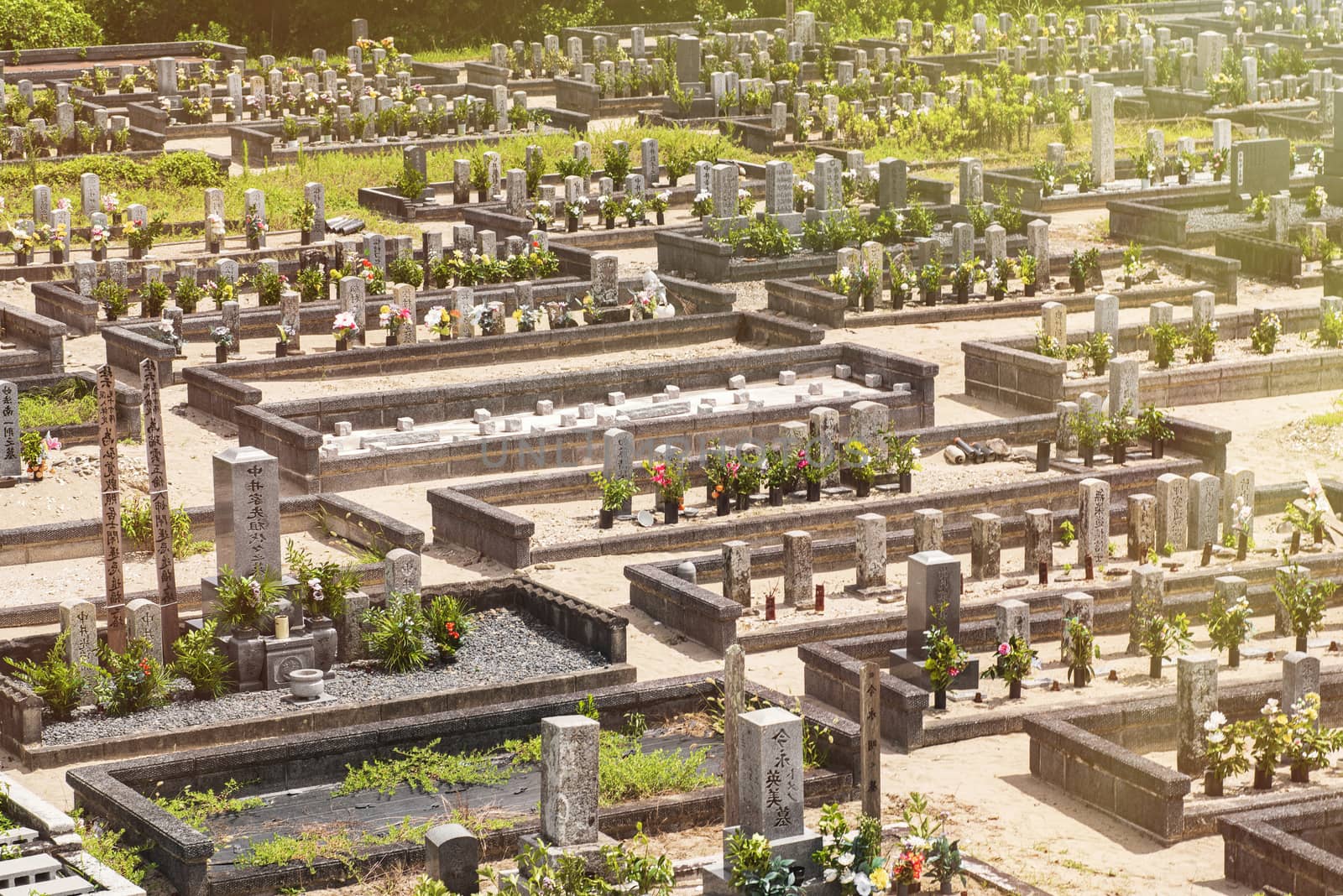 Cemetery in Japan, the city of Shima, August 2018. Japanese well-kept cemetery on a summer day.