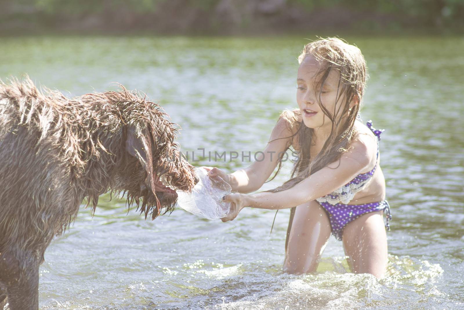 Little girl playing in the river with a dog on a summer sunny day.The concept of playing with a dog in nature and walking on the beach with Pets.Little girl playing with dog.