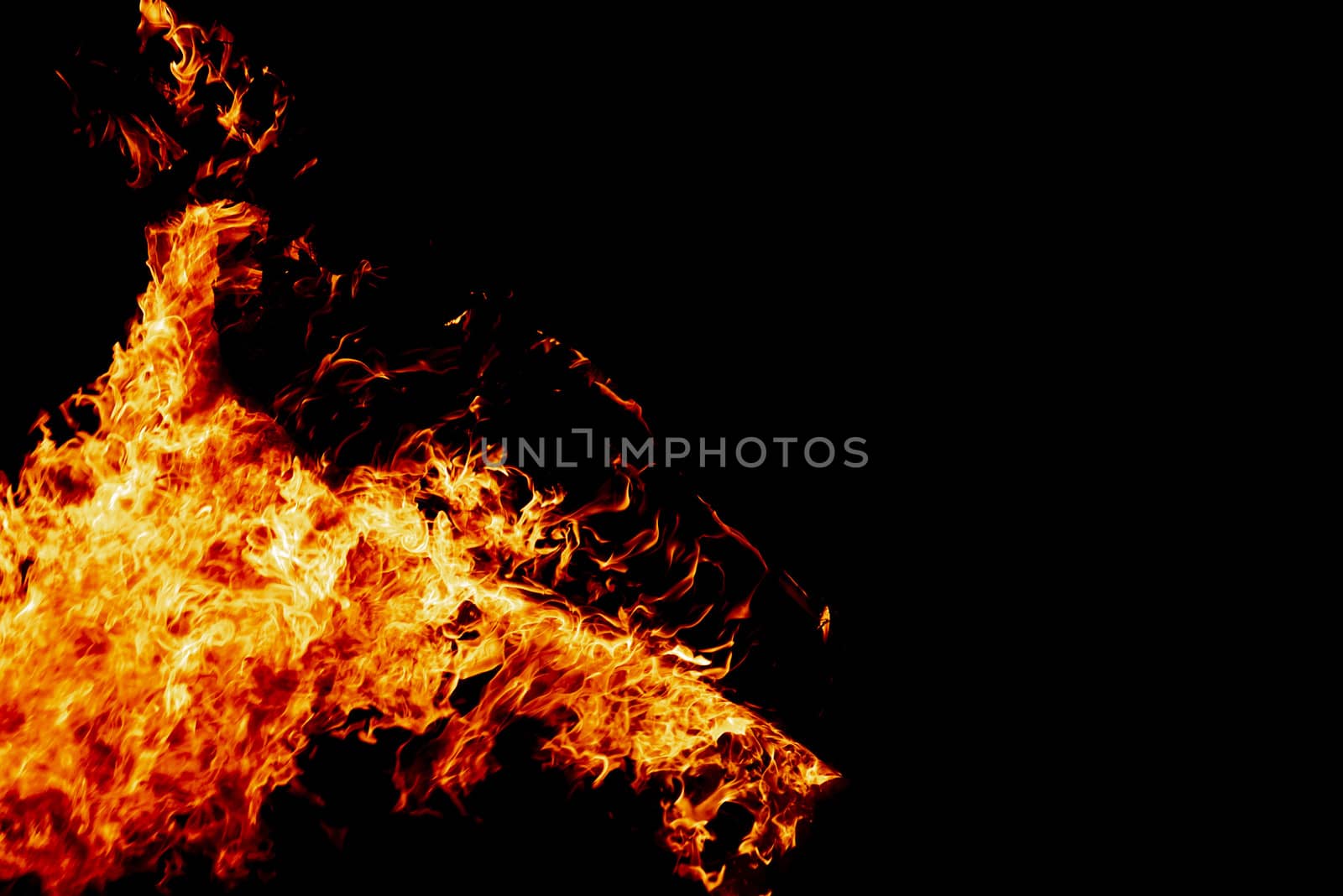 Wood fire on black background.Fire on a dark background. Background from fire. Fire close up. Background for designers.