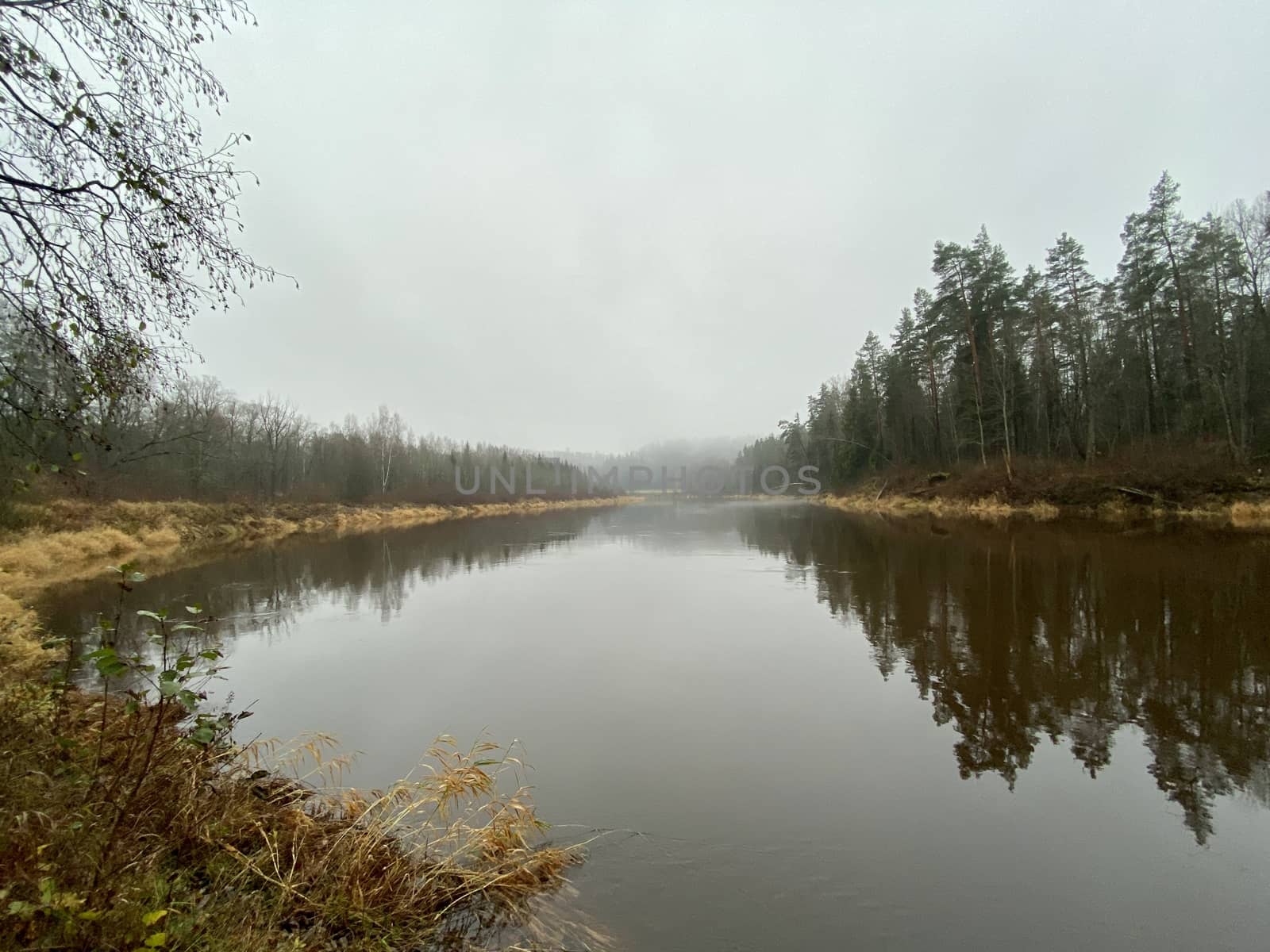 Autumn pictures Krimulda Sigulda Latvia Gauja river Valley