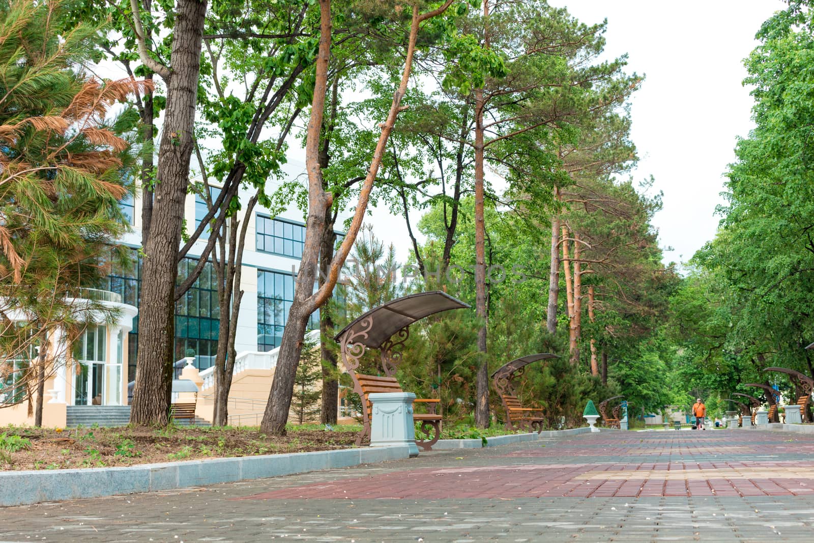 Lenin stadium on the embankment of Khabarovsk