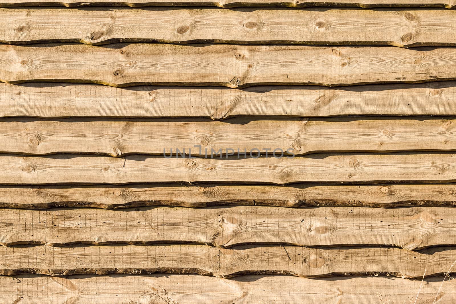 Old brown wood plank background. Wall floor or fence exterior design. Natural wooden material backdrop