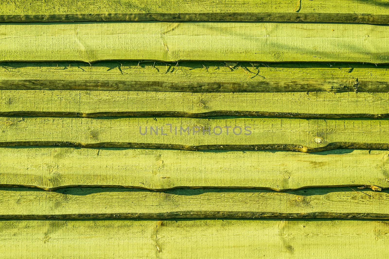 Old green wood plank background. Wall floor or fence exterior design. Natural wooden material backdrop