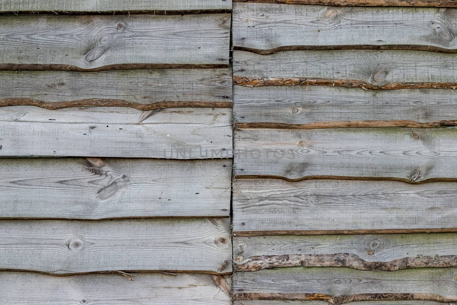 Old wood gray plank background. Wall floor or fence exterior design. Natural wooden material backdrop